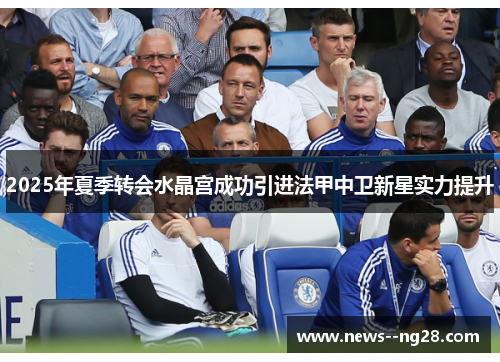 2025年夏季转会水晶宫成功引进法甲中卫新星实力提升 2025年夏季转会水晶宫成功引进法甲中卫新星实力提升